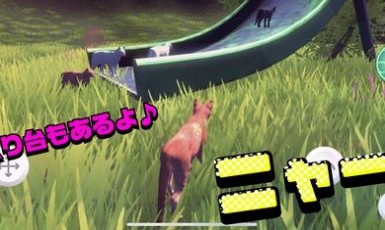 猫的春天图2