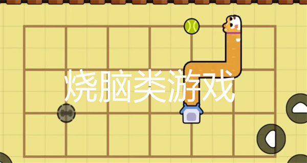烧脑类游戏