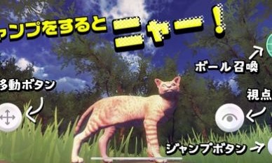 猫的春天图1
