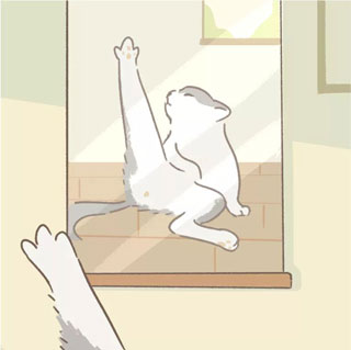 遇见你的猫最新版本
