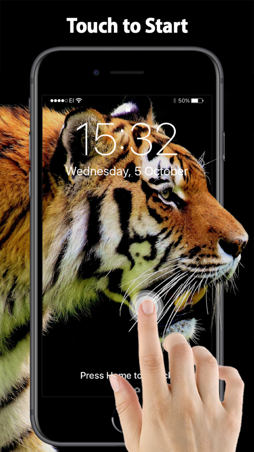 WellPaper图2