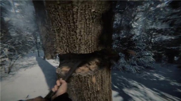森林之子图2