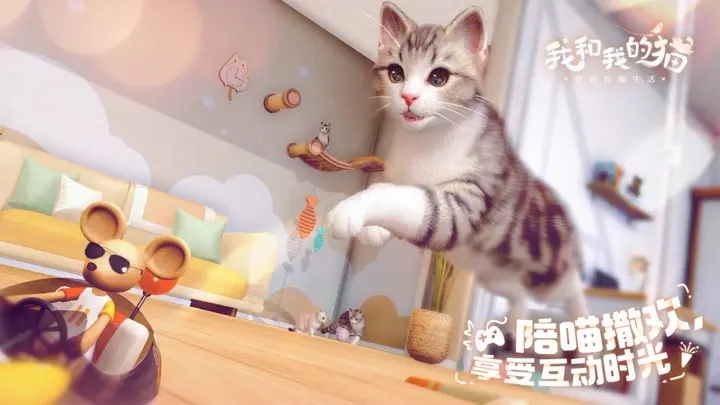 我和我的猫图1