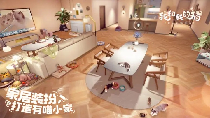 我和我的猫图2