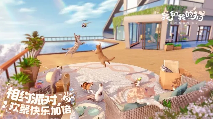 我和我的猫图3