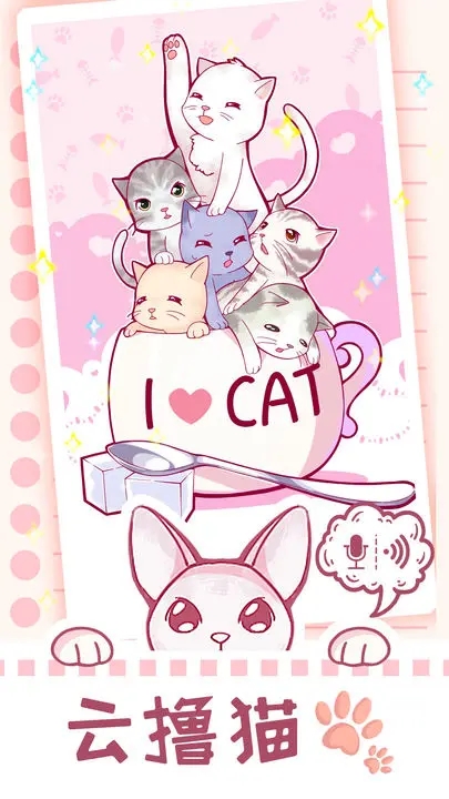 云撸猫咪图2