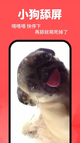 动态壁纸精灵app图4