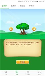 重庆果子Chongqingfruit图3