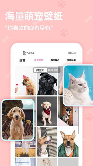 动物语言翻译器中文版图4