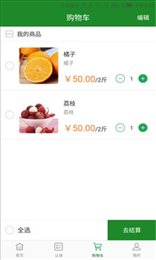重庆果子Chongqingfruit图1