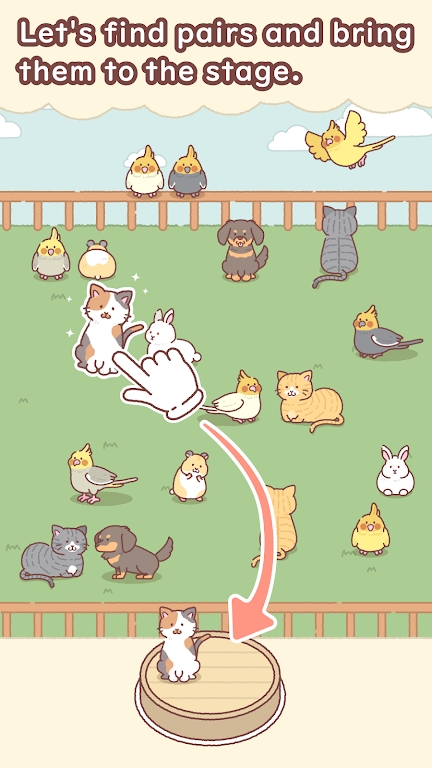 动物园匹配图2