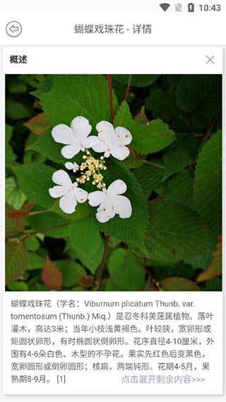 万物识别(万物志)