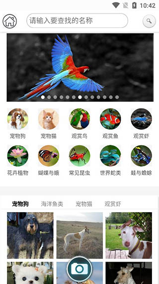 万物识别(万物志)