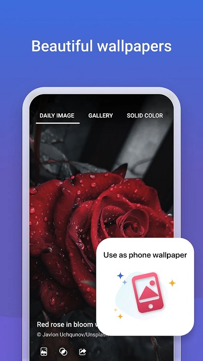 微软必应app手机版图2