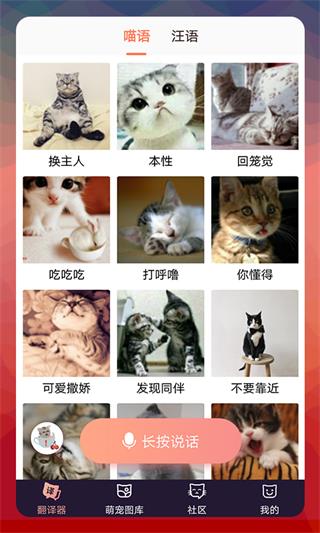 猫语翻译器中文版截图1