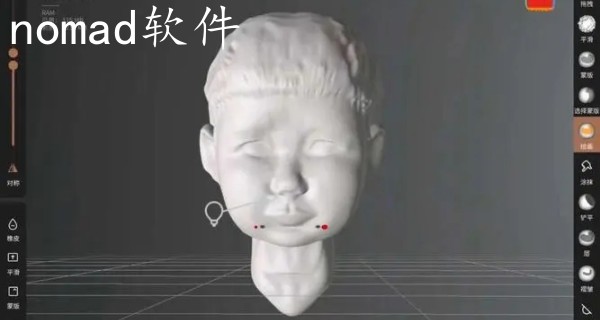 nomad软件