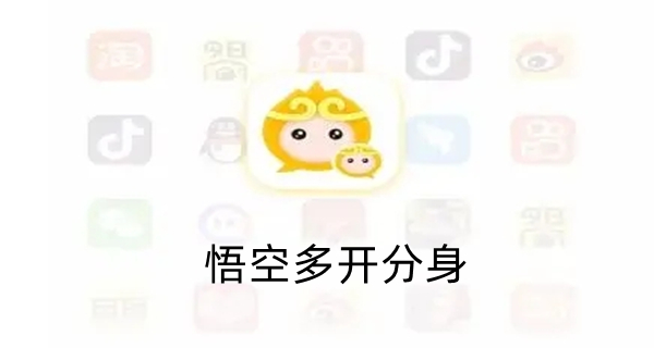 悟空多开分身