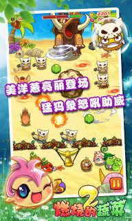 燃烧的蔬菜2图3
