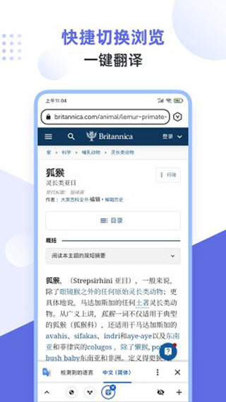 狐猴浏览器最新版截图3