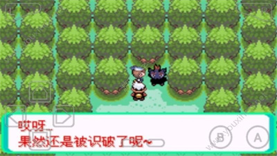 口袋妖怪漆黑的魅影破解图3