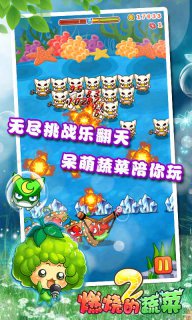 燃烧的蔬菜2图2