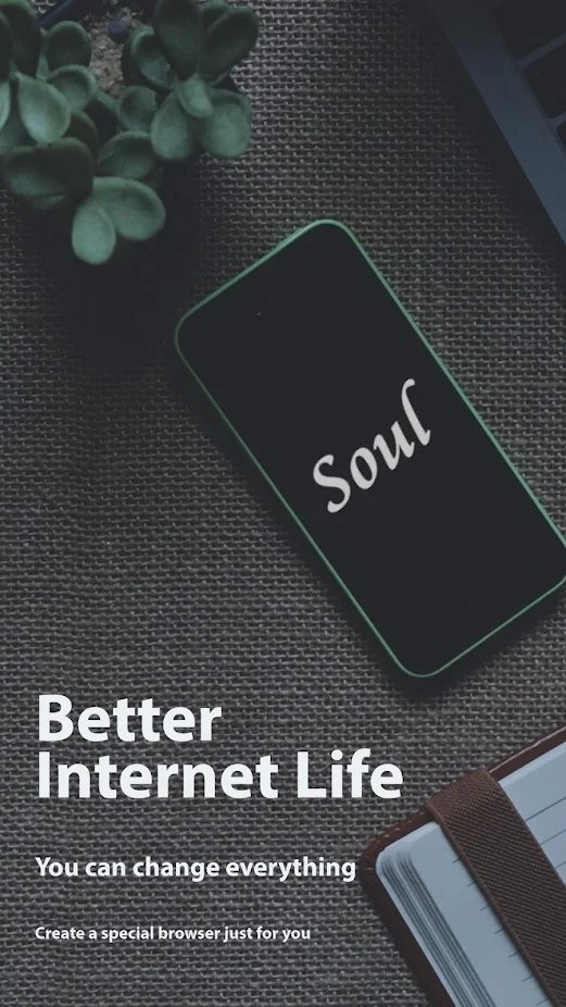 soul浏览器官方版图3