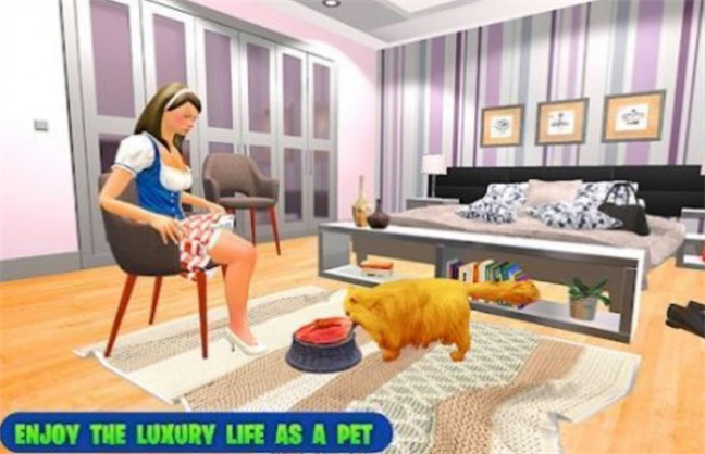 我的宠物猫模拟器图2