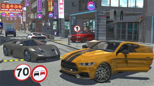 高速公路街道追捕图2