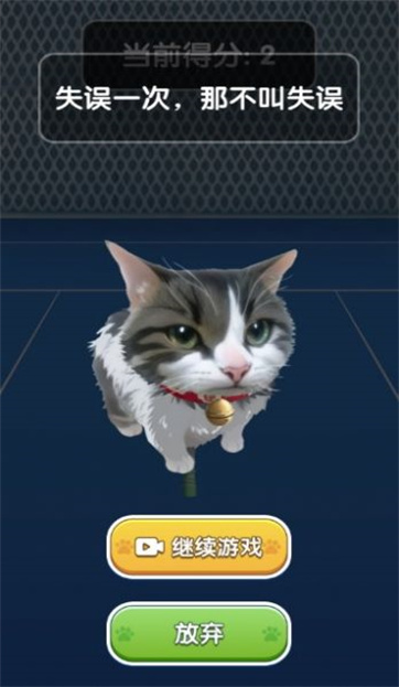 猫咪网球图2