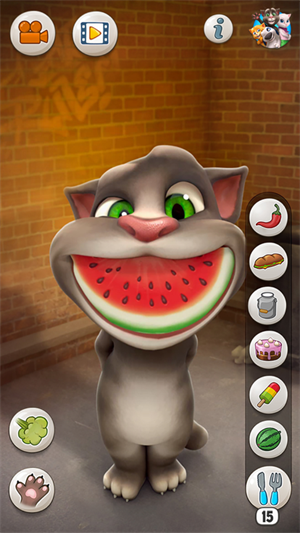 会说话的汤姆猫无限食物版图5