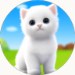 猫的选择虚拟宠物3D