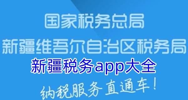 新疆税务app大全