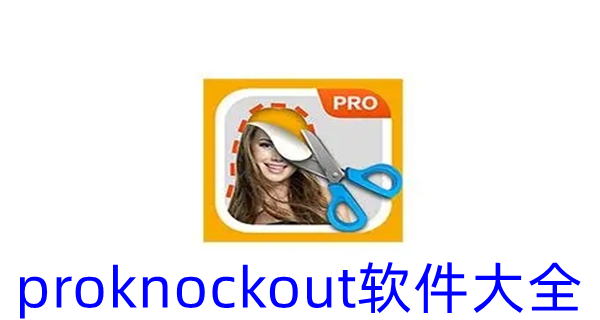 proknockout软件大全