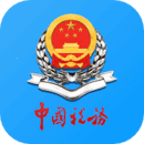 天津税务app