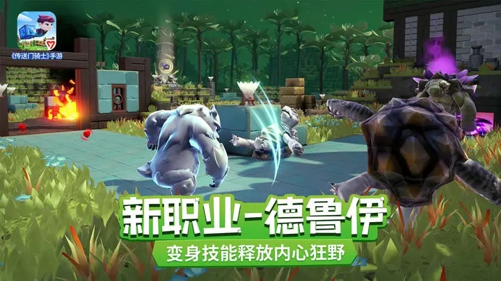 传送门骑士图3
