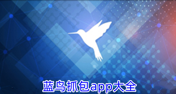 蓝鸟抓包app大全