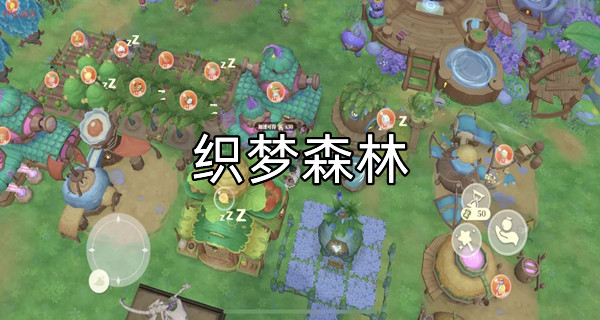 织梦森林