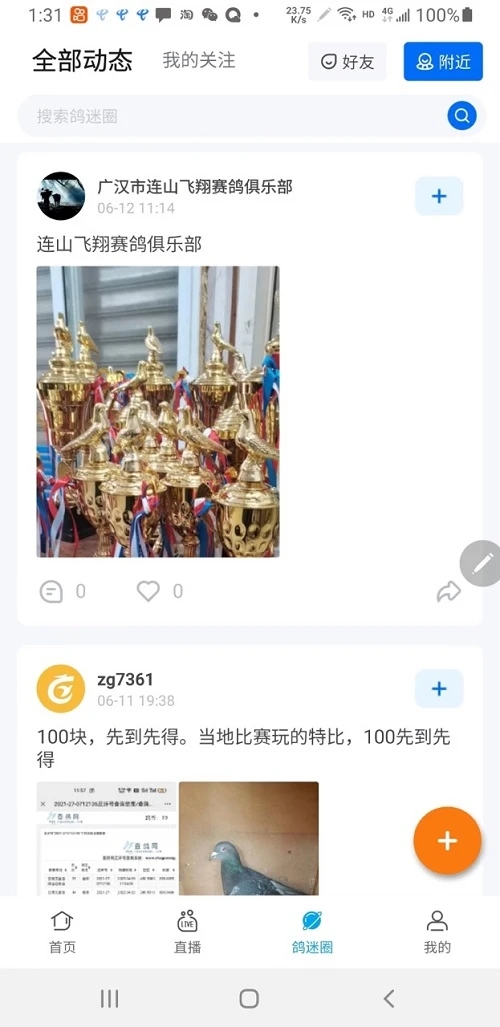 千鸽安卓版图2