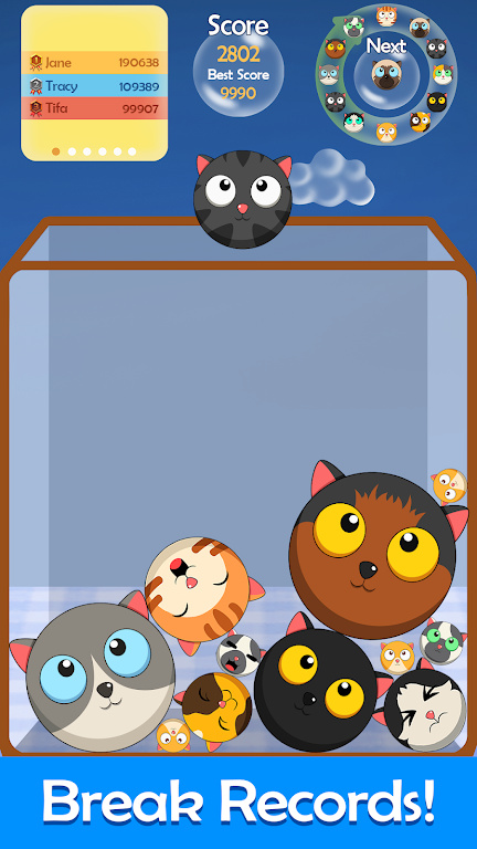 西瓜猫图1