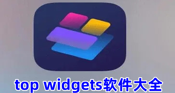 top widgets软件大全