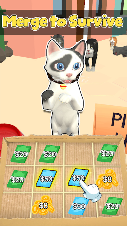 猫生活合并金钱图3