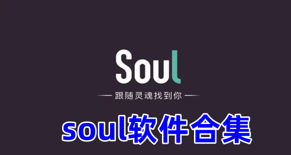 soul软件合集
