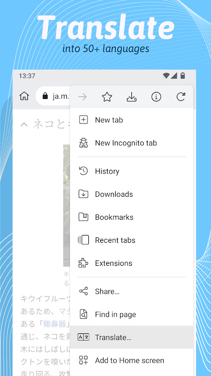 Kiwi Browser图4