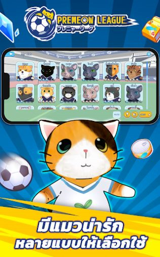 猫咪英超足球图2