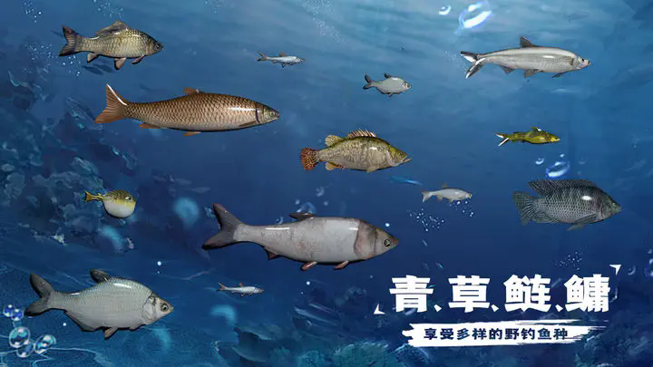 天天钓鱼图2
