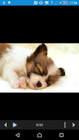 ImgFinder-Image Search软件图4