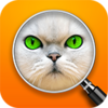 猜猜图片手游