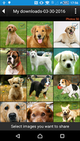 ImgFinder-Image Search软件图3