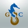 GSC接地剖面软件