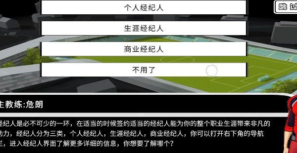 职业足球生涯图2